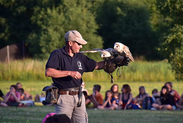 Présentation de rapaces en vol libre avec commentaires de fauconniers.
📅 Dates prochainement disponibles