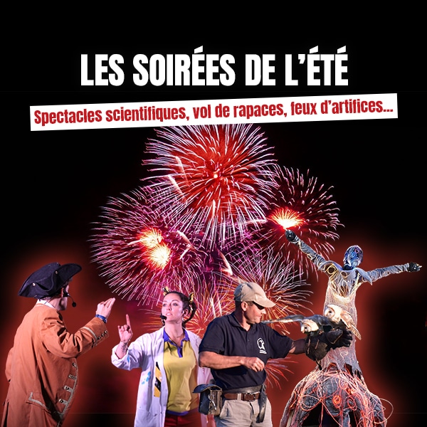 En juillet et en août, le parc s’illumine en soirée : 11 dates vous sont proposées pour profiter des animations permanentes, des dernières nouveautés, et des spectacles en plein air jusqu’à 23h !