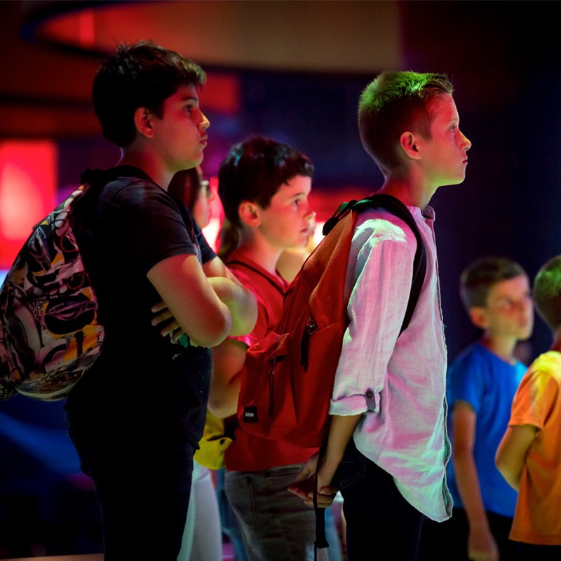 Le Pass Culture soutient les jeunes de moins de 18 ans en leur offrant un accès accru à la culture, dès la classe de 6e (par le biais d’une part collective) et d’une part individuelle à partir de 15 ans (part individuelle). Vous pouvez bénéficier d’un financement par le Pass Culture pour votre visite scolaire du parc sous certaines conditions.